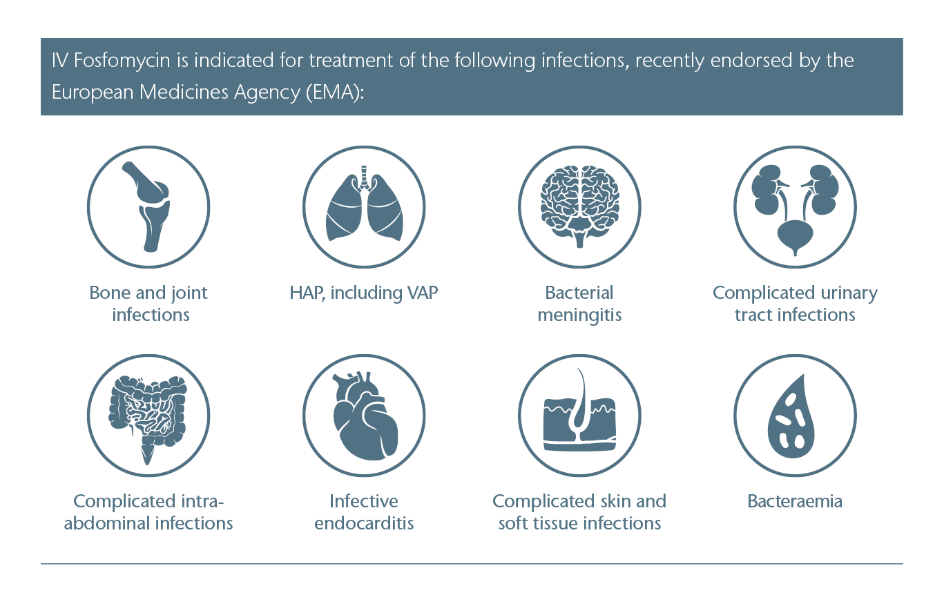 Fosfomycin Indications